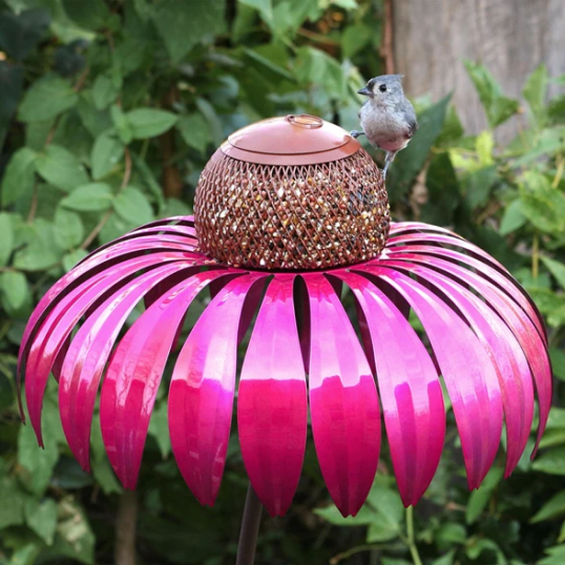 Coneflower fuglemater(🐦Kjøp 2,-10%🔥)