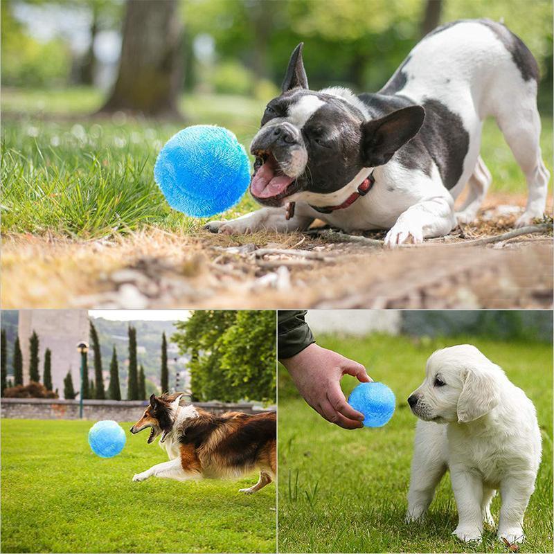 Magisk Ball for Hunder
