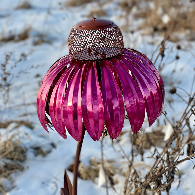 Coneflower fuglemater(🐦Kjøp 2,-10%🔥)