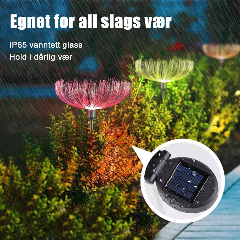 Soldrevet fiberoptisk lys