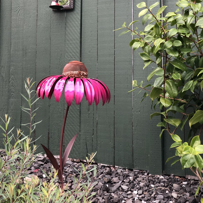 Coneflower fuglemater(🐦Kjøp 2,-10%🔥)