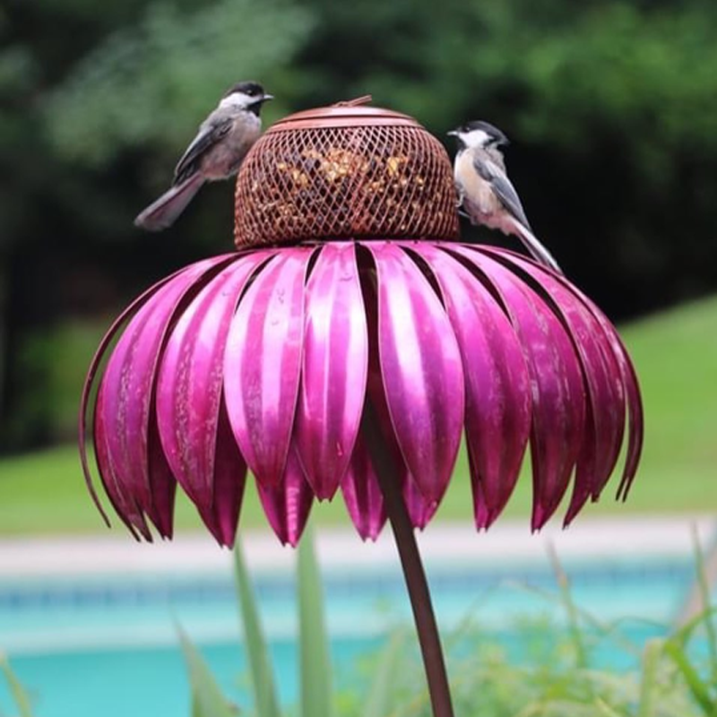 Coneflower fuglemater(🐦Kjøp 2,-10%🔥)