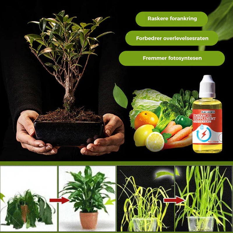 Plante vekst Enhancer Supplement
