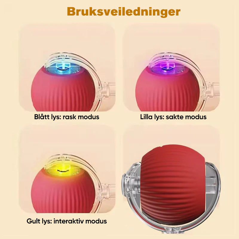Smart Interaktiv Katteball