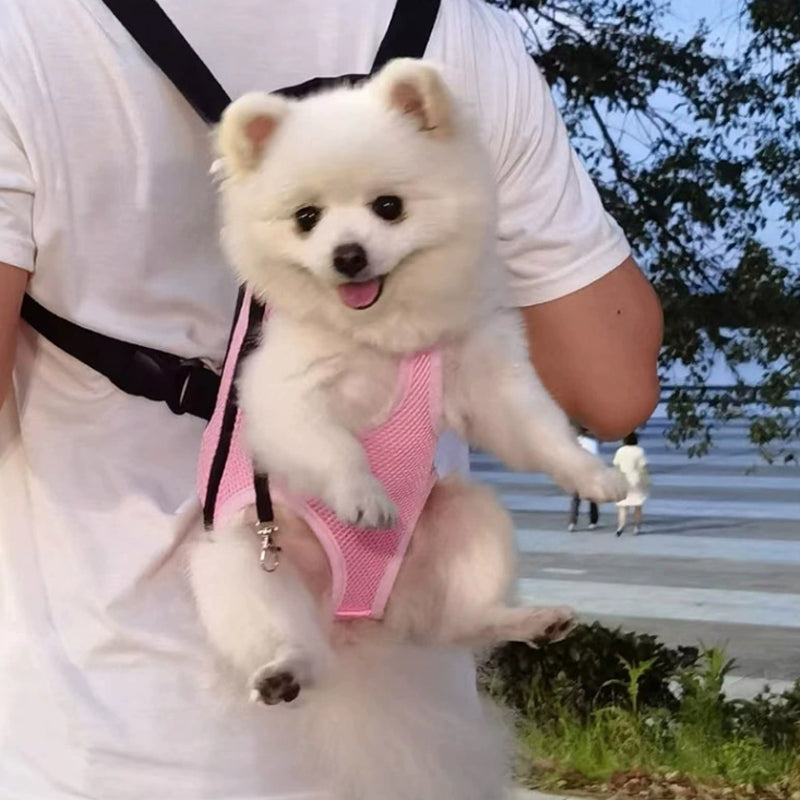 Pet Travel Leg-out Backpack