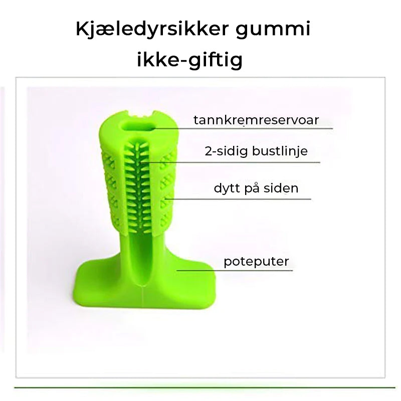 Pet Dog Tannbørste