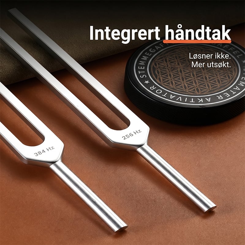 Stemmegaffelsett med Aktivator