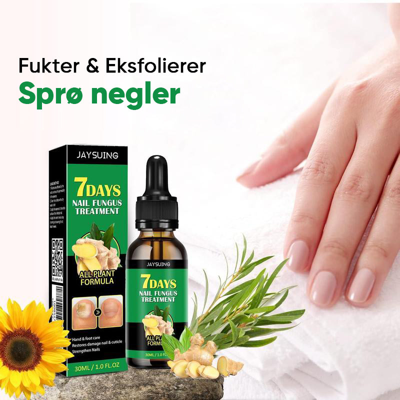 Ingefær Negle Behandling