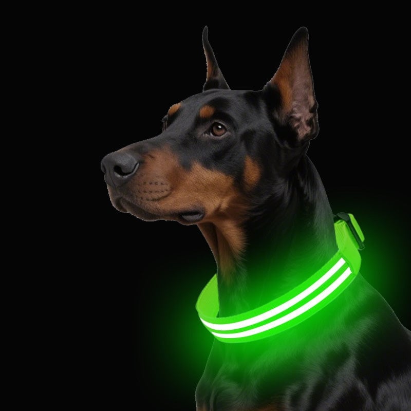 Dobbelt fiberoptisk lysende hundehalsbånd for natt
