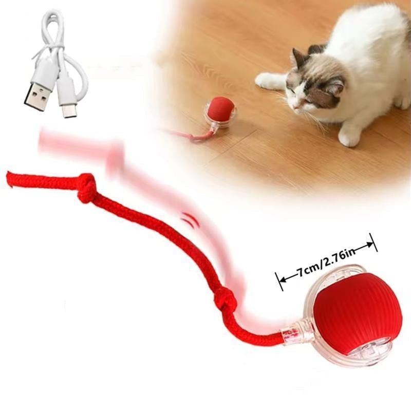 Smart Interaktiv Katteball