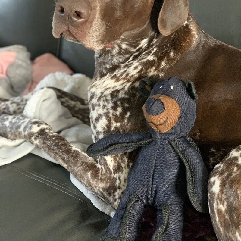 Mighty Bear Pet Toy