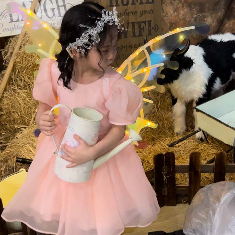 Elektriske Sommerfuglvinger Barnas Utendørs Leker