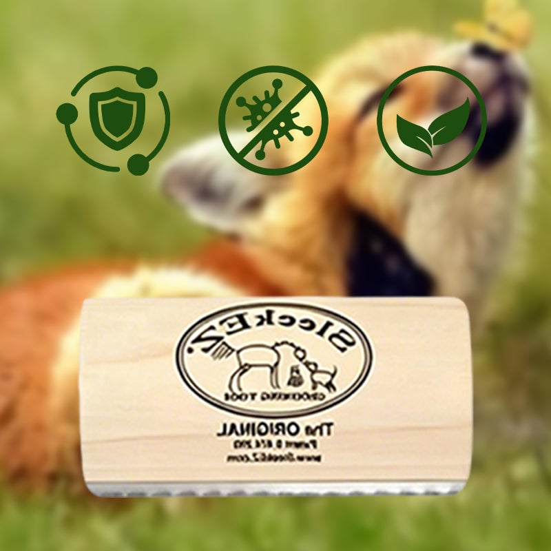 Wooden Pet Grooming Brush