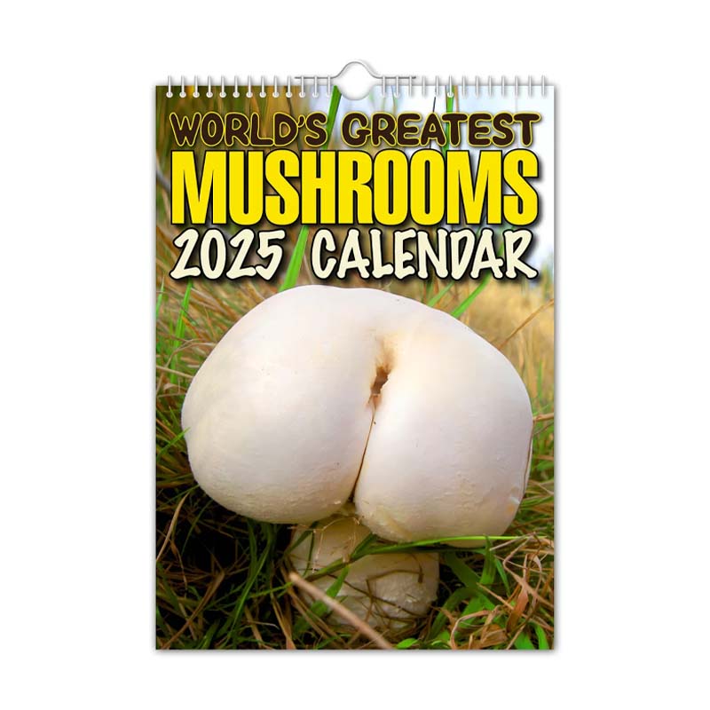Verdens Største Sopp - 2024 Veggkalender