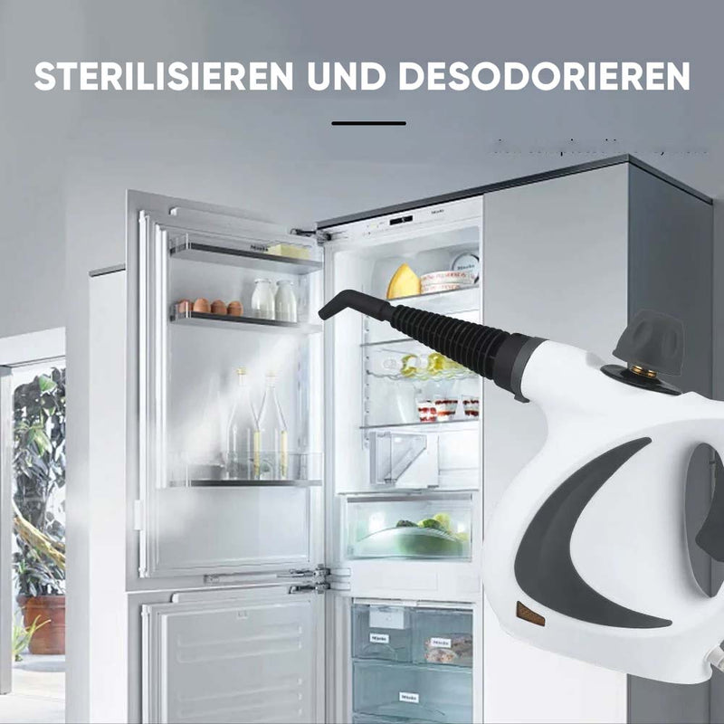 Damprengjøringsenhet for desinfeksjon