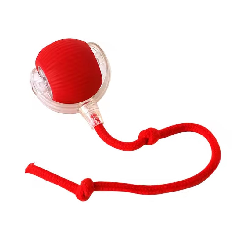 Smart Interaktiv Katteball
