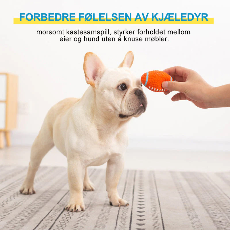 Udødelig leketøy for aggressive tyggere