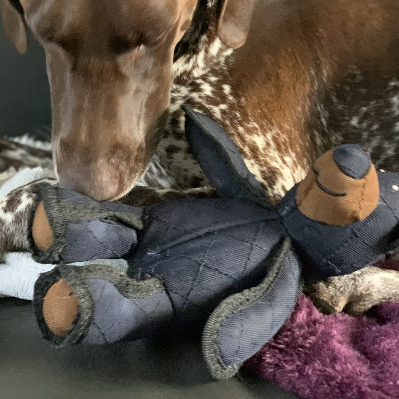 Mighty Bear Pet Toy