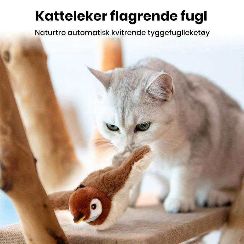 Imitert Fugleleketøy for Katter