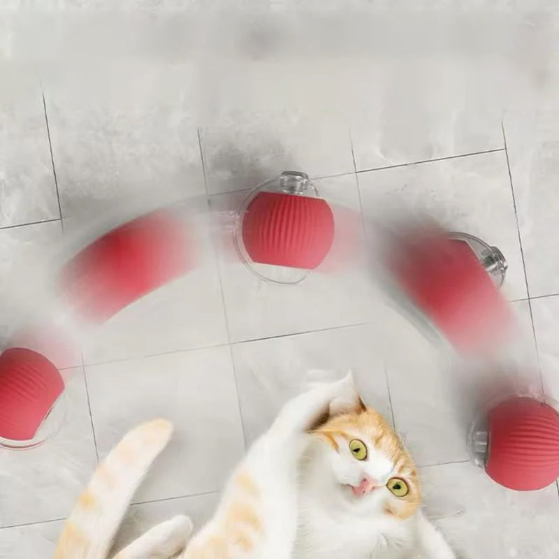 Smart Interaktiv Katteball