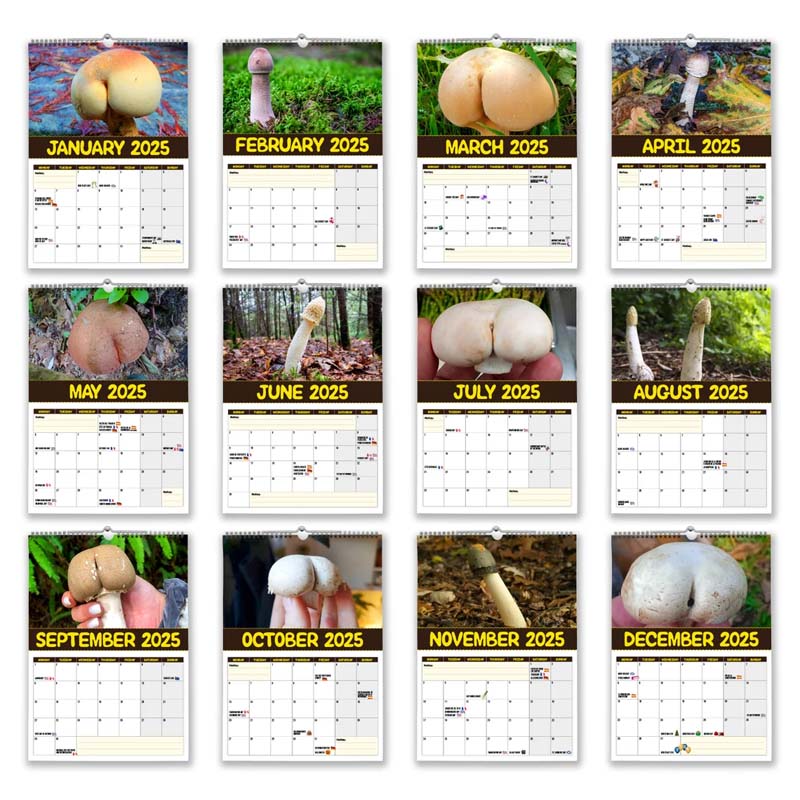 Verdens Største Sopp - 2024 Veggkalender