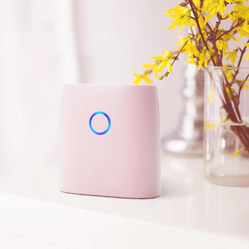 Mini Bærbar Termoskriver