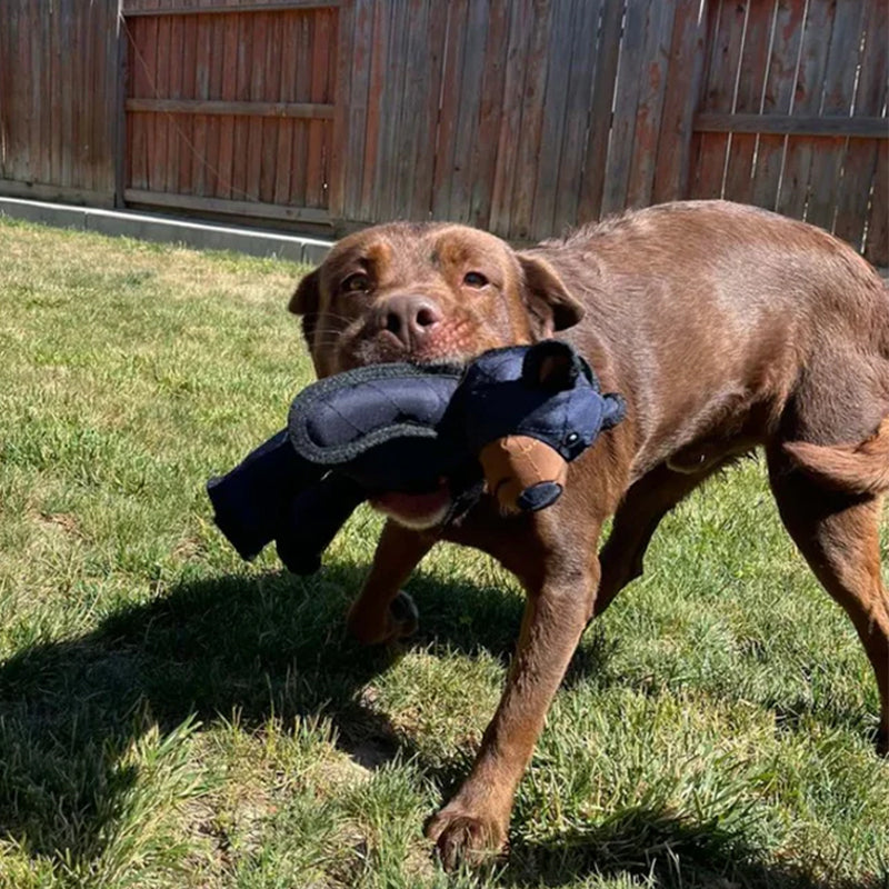 Mighty Bear Pet Toy