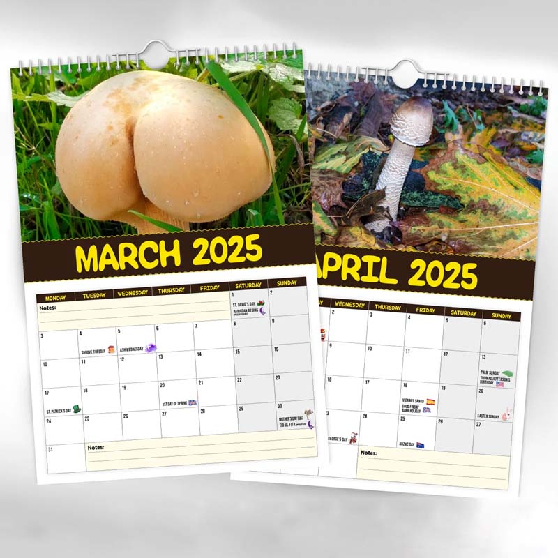 Verdens Største Sopp - 2024 Veggkalender