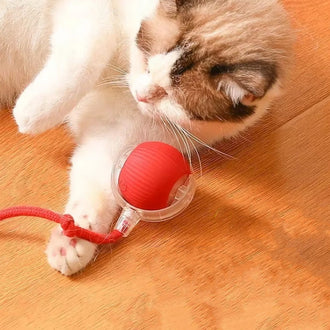 Intelligent interaktiv lekeball for kjæledyr