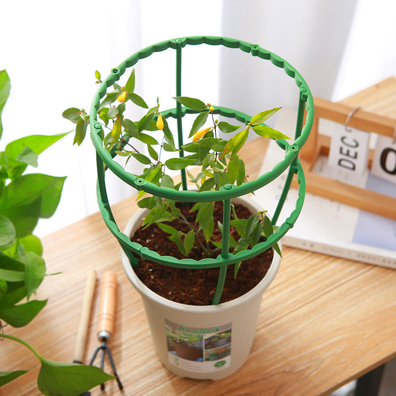 Støttebur for hageplanter
