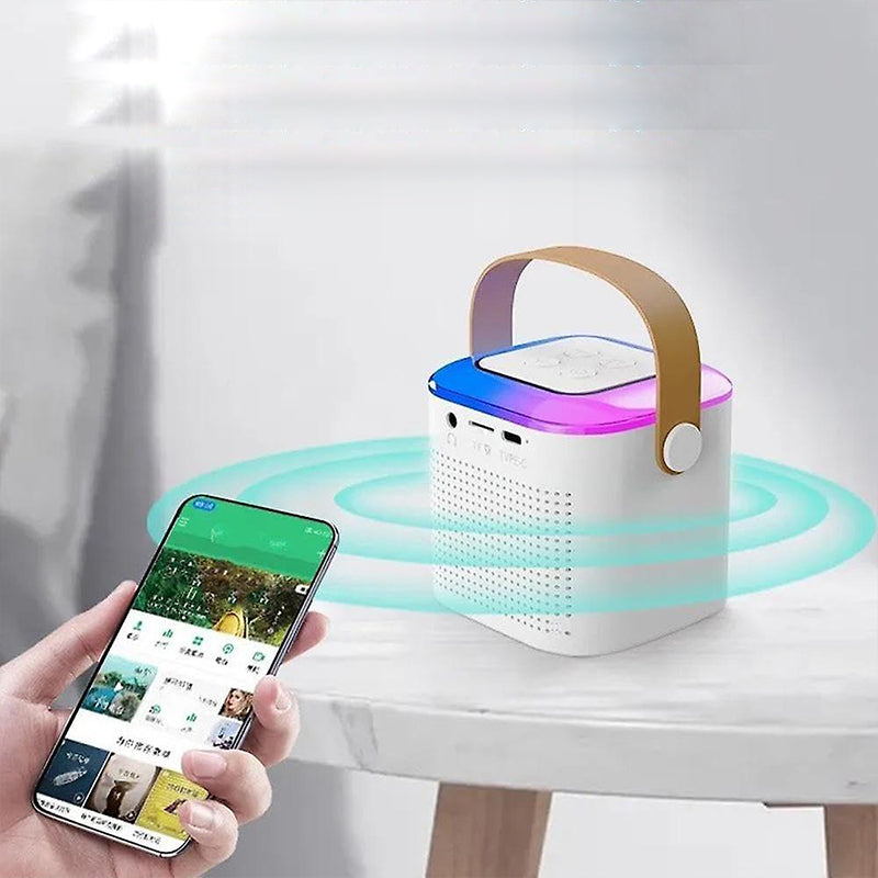 Bærbar Mini Karaoke Bluetooth-høyttaler og Mikrofon