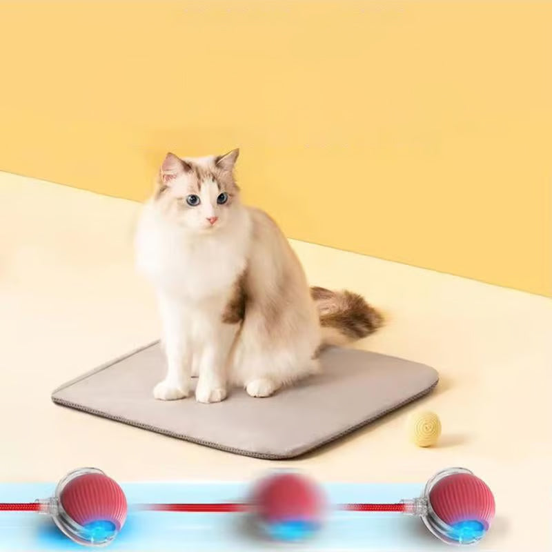 Smart Interaktiv Katteball
