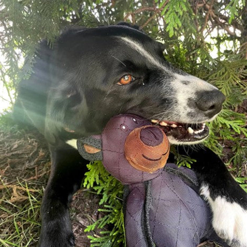 Mighty Bear Pet Toy