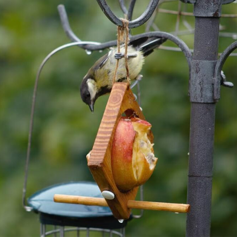 Tre fuglemater
