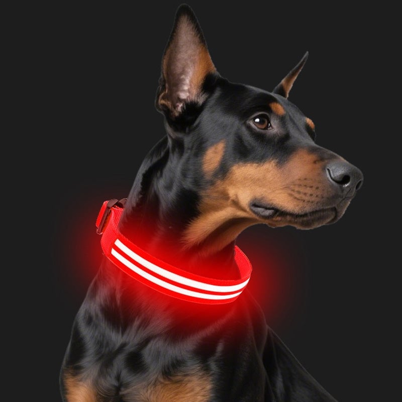 Dobbelt fiberoptisk lysende hundehalsbånd for natt