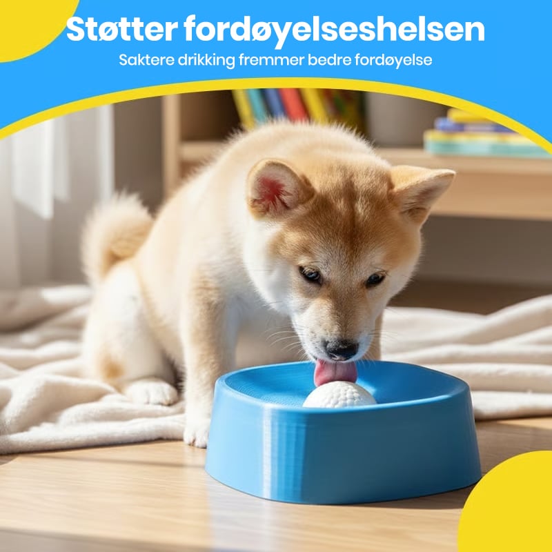Saktemating Væske Hundeskål