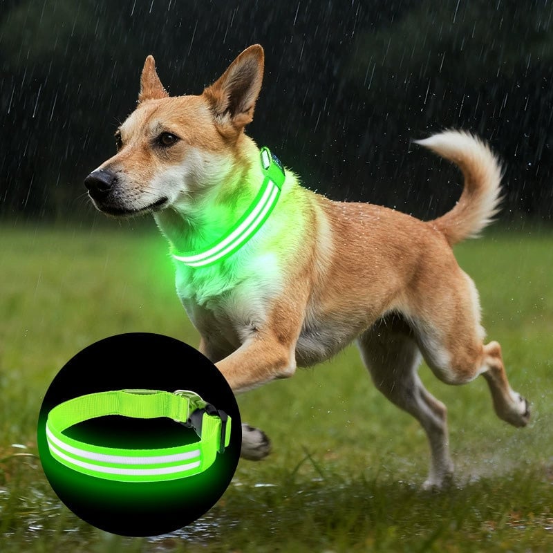 Dobbelt fiberoptisk lysende hundehalsbånd for natt