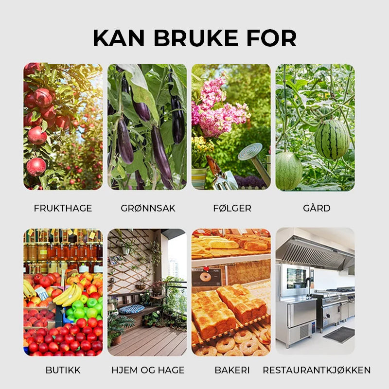 Hengende miljøvennlige fruktfluefeller Sticky feller