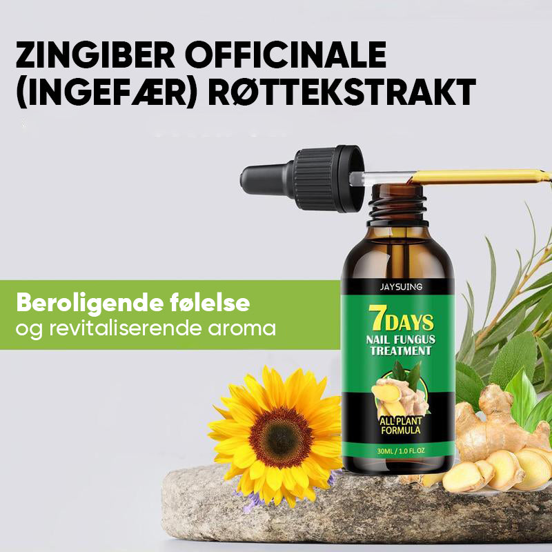 Ingefær Negle Behandling