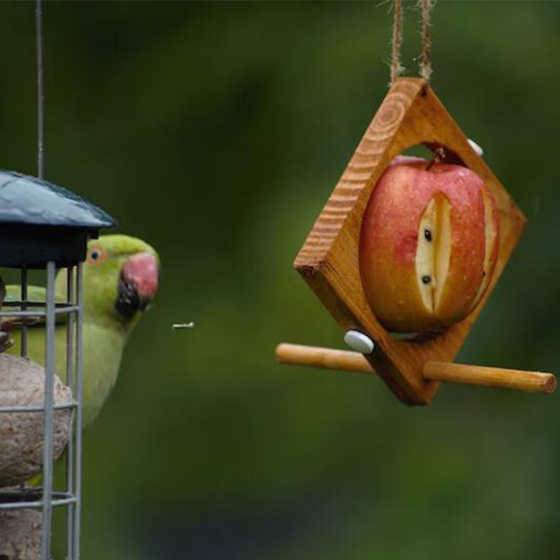 Tre fuglemater