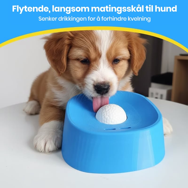 Saktemating Væske Hundeskål