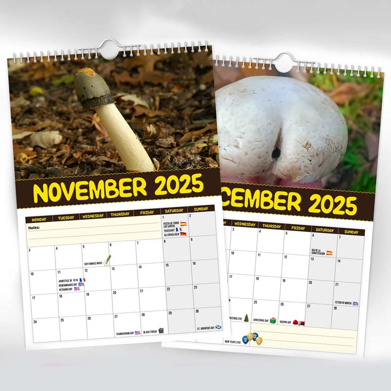 Verdens Største Sopp - 2024 Veggkalender