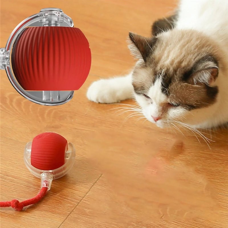 Smart Interaktiv Katteball