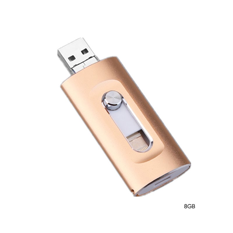 3-i-1 USB-Minne med Høy Kapasitet og Fingeravtrykkssikkerhet