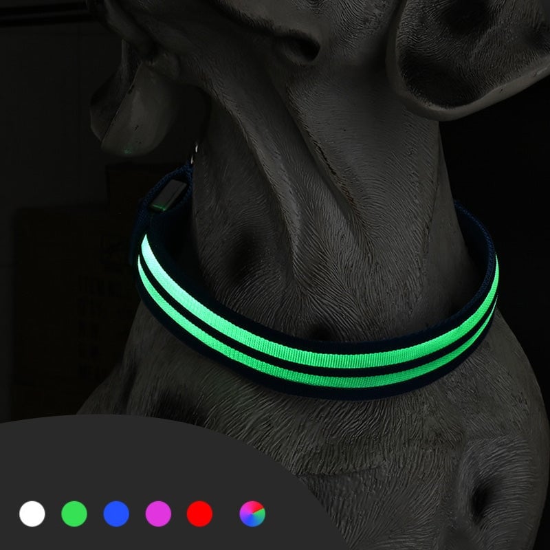Dobbelt fiberoptisk lysende hundehalsbånd for natt