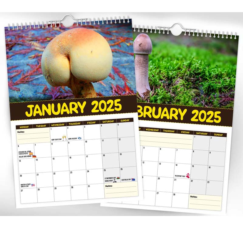 Verdens Største Sopp - 2024 Veggkalender