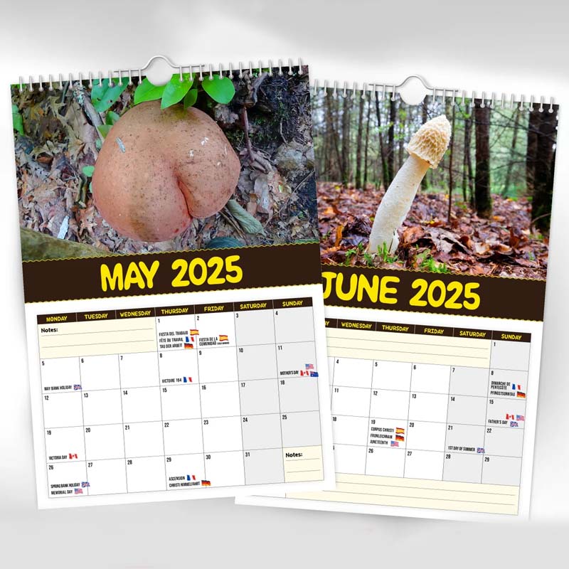 Verdens Største Sopp - 2024 Veggkalender