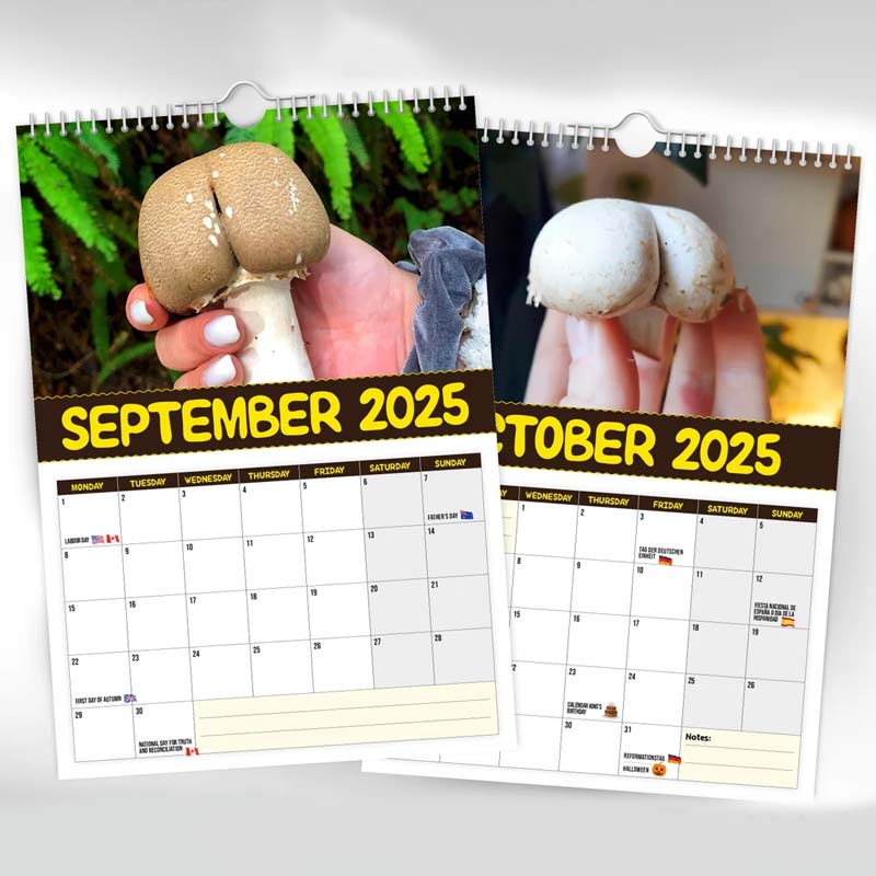 Verdens Største Sopp - 2024 Veggkalender