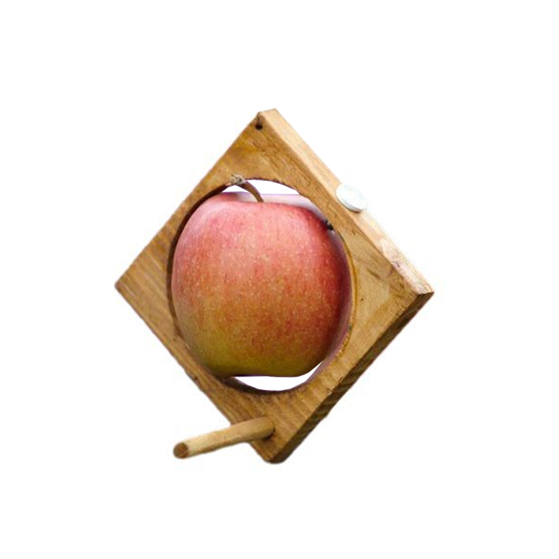 Tre fuglemater