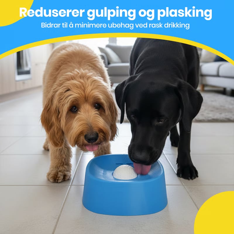 Saktemating Væske Hundeskål